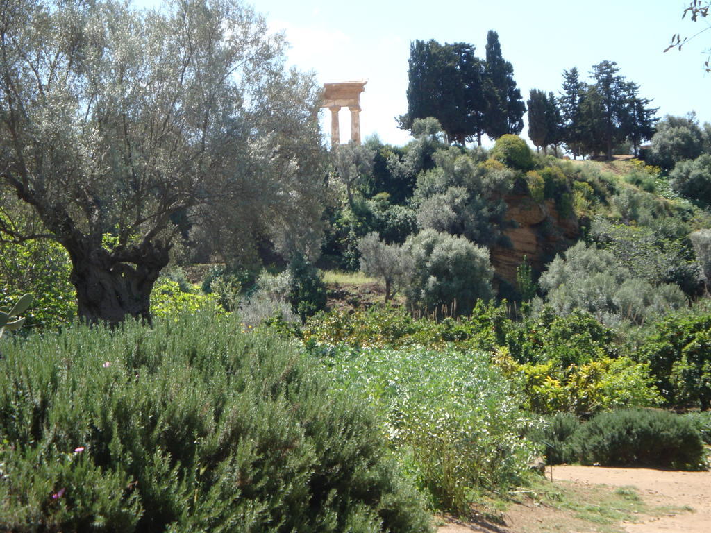 Guest House Artemide Agrigento Esterno foto